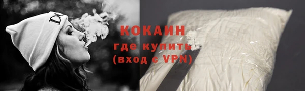 тгк Алзамай